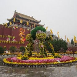 开封市龙亭五色草造型
