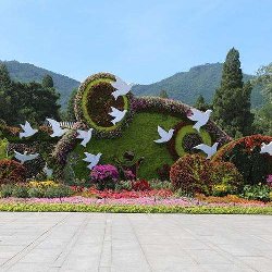 深圳花海绿雕