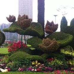绿雕扮靓焦作美翻了