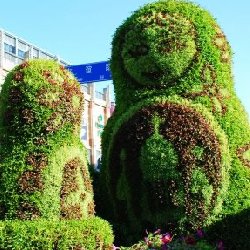 长沙立体花坛造型是不是憨态可掬