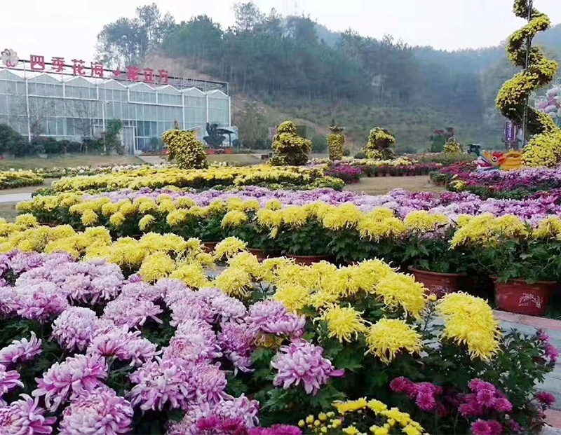 花境打造