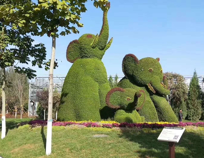 绿雕造型
