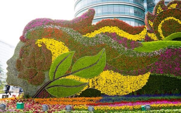 五色草造型