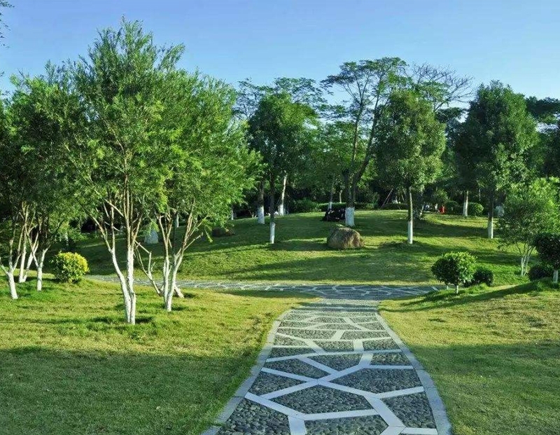 园林景观