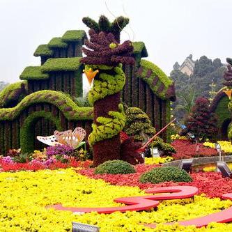 五色草