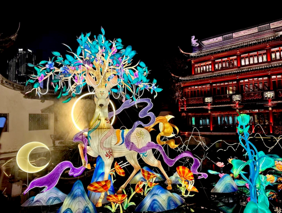 彩灯案例
